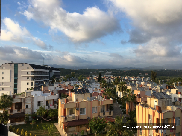 photo 1604284