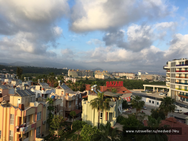 photo 1604285