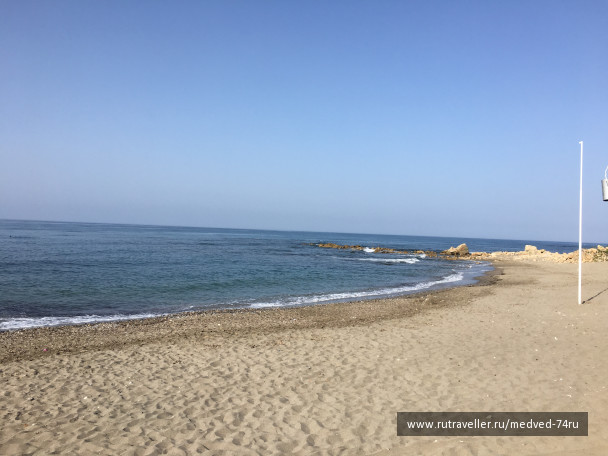 photo 1604292