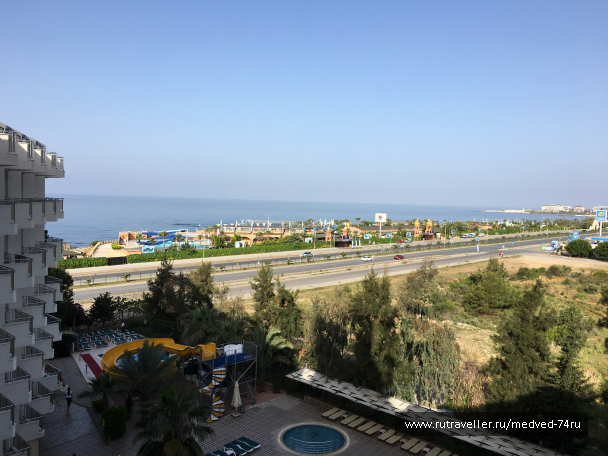 photo 1604294