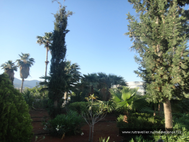photo 392085
