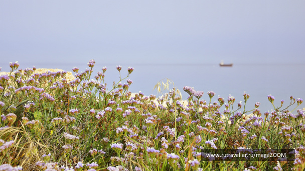 photo 420767
