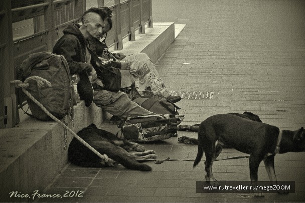 photo 732335