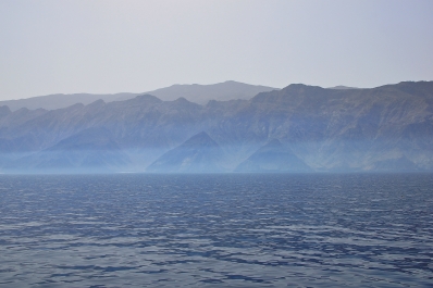 photo 786557