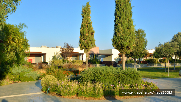 photo 1744269