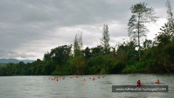 photo 1744456