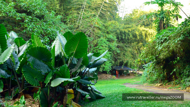 photo 1744464