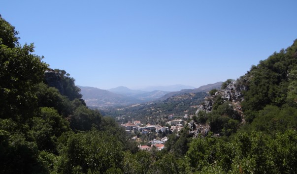 DSC00702