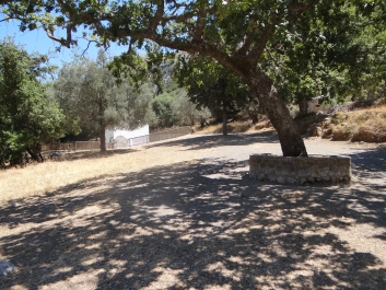 photo 826677