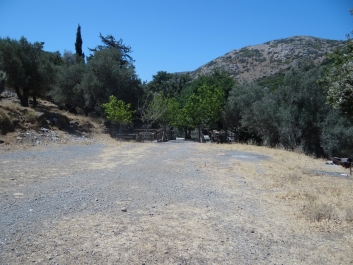 photo 826678