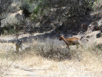 photo 826681