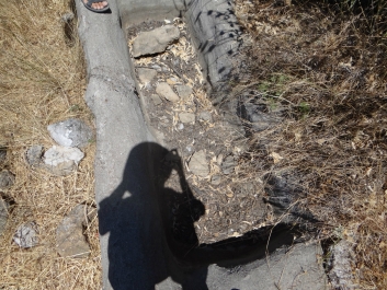 photo 826682