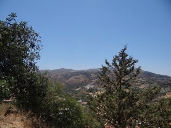 photo 826693