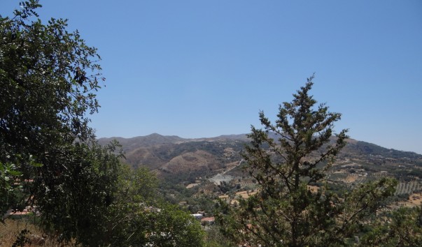 DSC00667