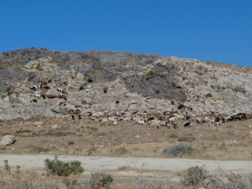 photo 826712