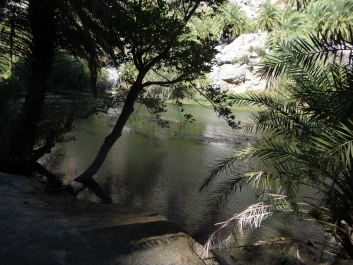 photo 831235