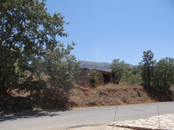 photo 840273