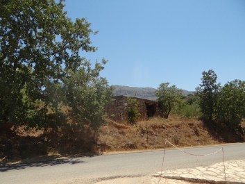 photo 840274