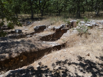 photo 840291