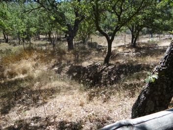 photo 840293