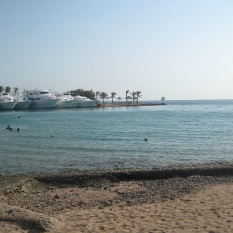 Хургада 2011 Royal Regina Resort