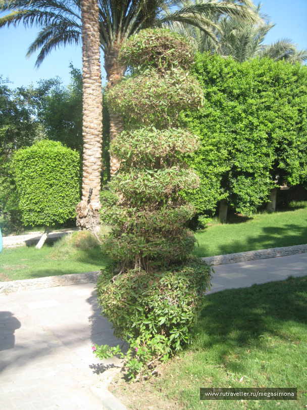 photo 48833