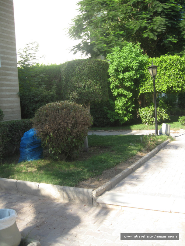 photo 48834