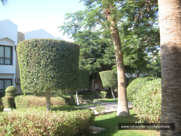 photo 48838