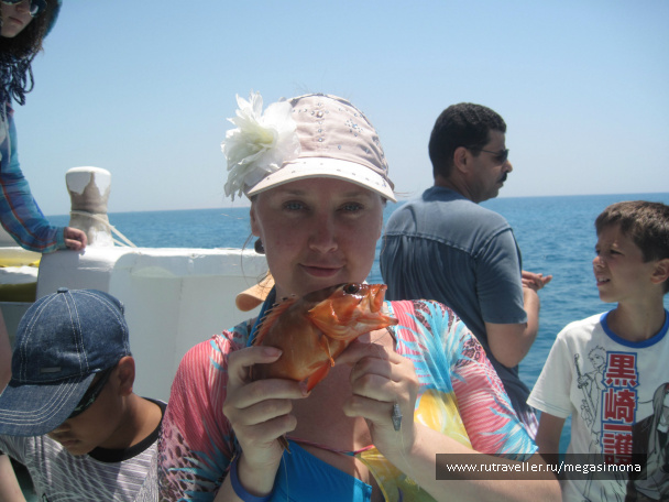 photo 48853