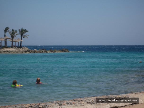 photo 48874