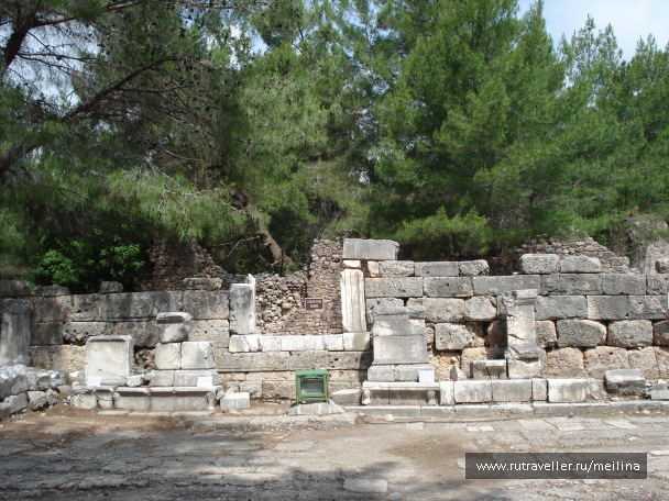 photo 1031643