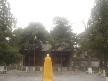 photo 1031619
