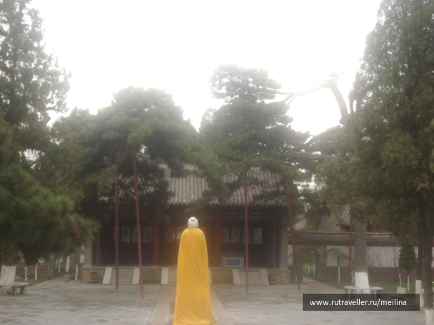 photo 1031619