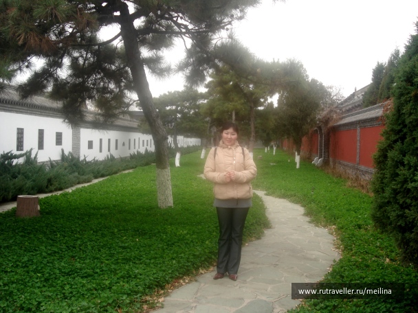photo 1031624