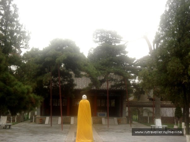photo 1037224