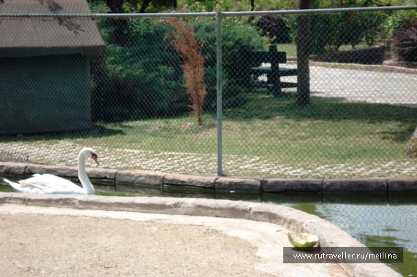photo 1032915