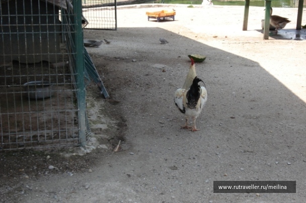 photo 1033057