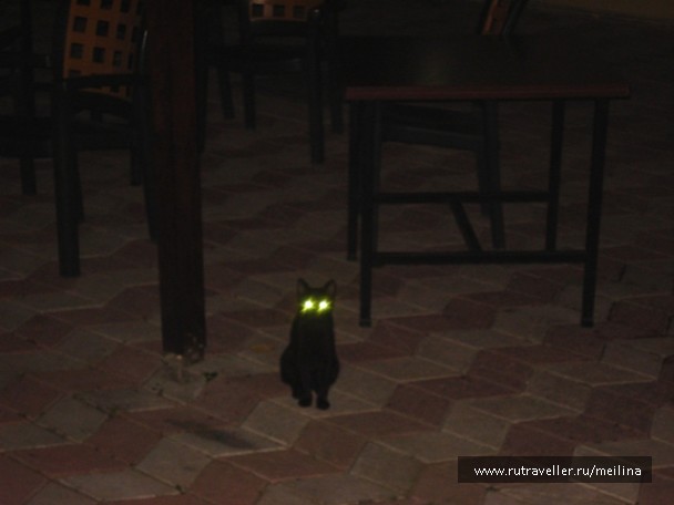 photo 1033060