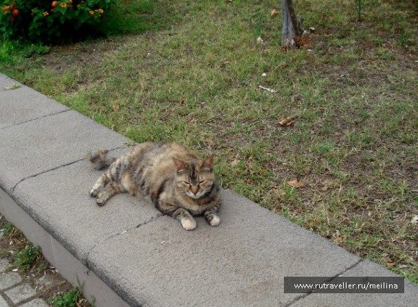 photo 1033062