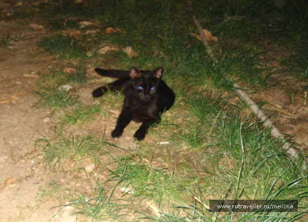 photo 1033064