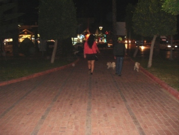 photo 1033066