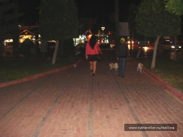 photo 1033066