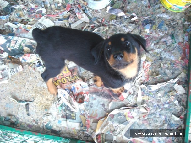 photo 1033076