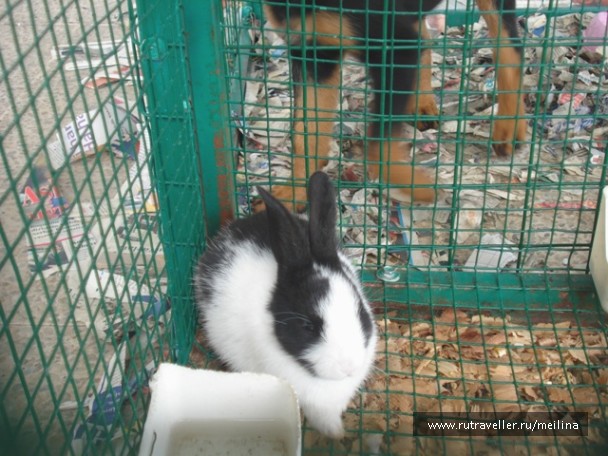 photo 1033078