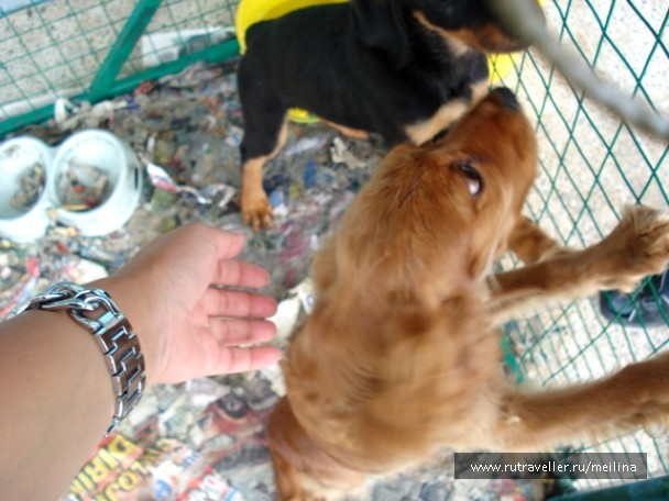 photo 1033079