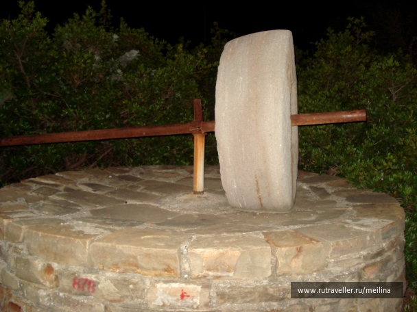 photo 1031651