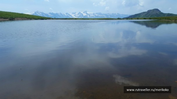 photo 1518452