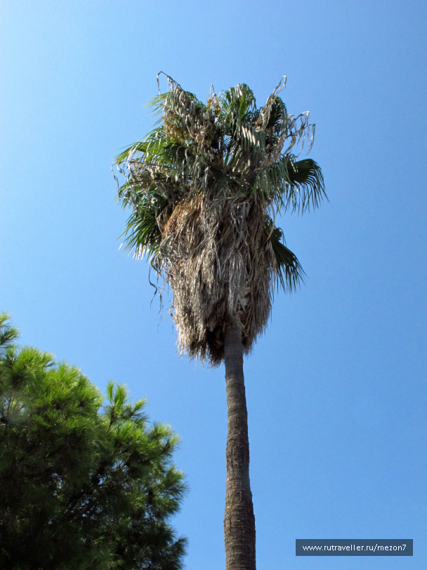 photo 141015