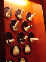 photo 569877