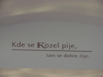 photo 570317